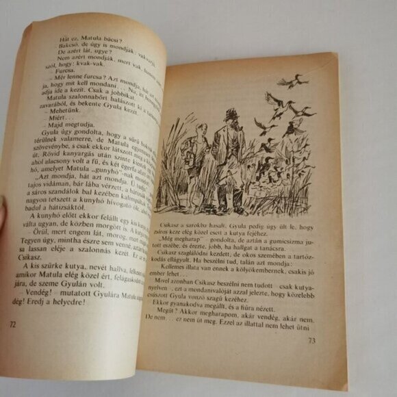 1977 Hungarian Kid Book Fekete István Illustrated Tüskevár Youth Novel Cover Art - Picture 9 of 9